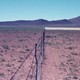 Historical photograph of Erin Farm in the Eastern Cape taken by John Acocks in May 1971.